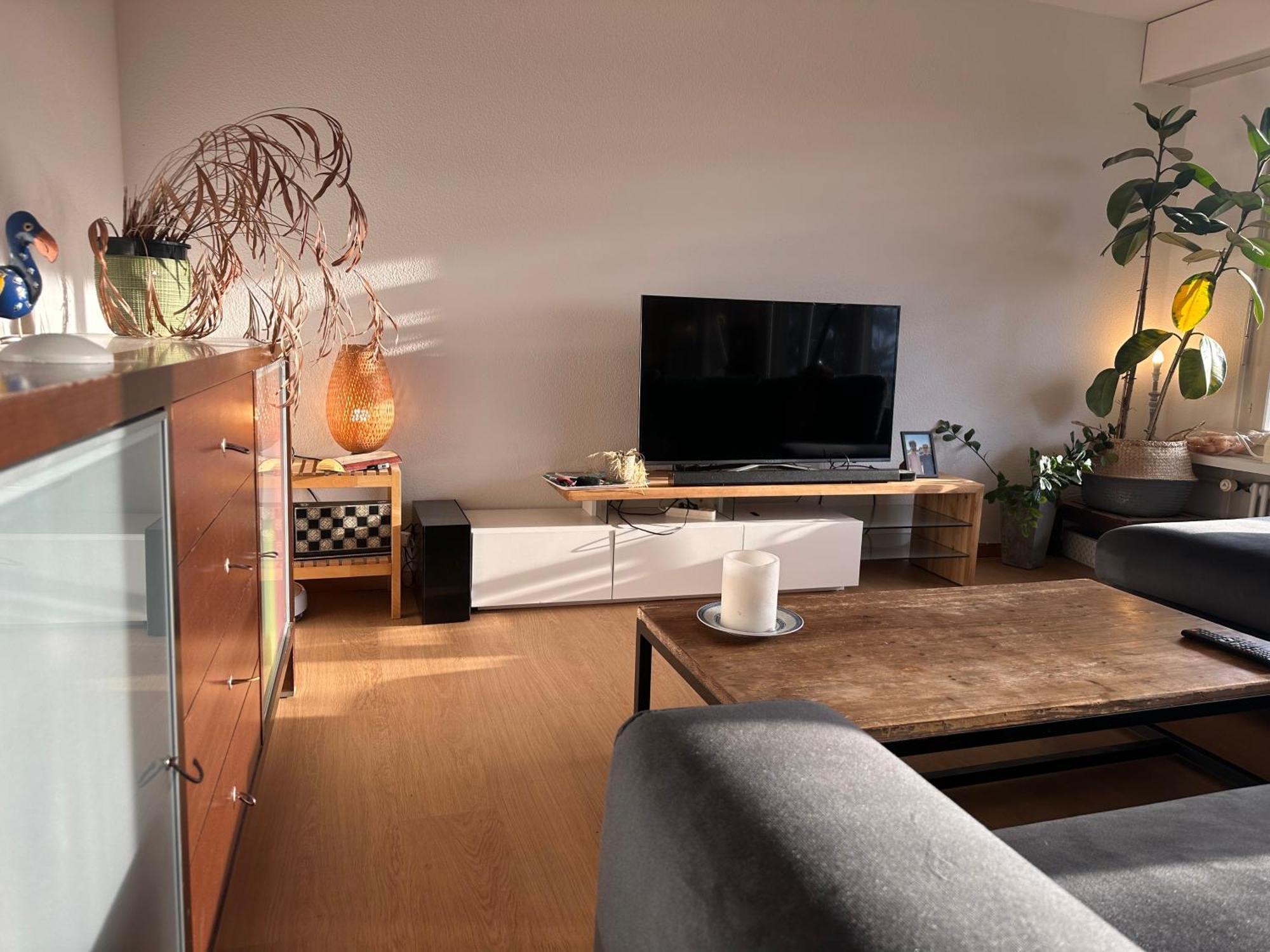 Lovely Room, 15 Min From Center, Mountain View Zürich Exterior foto