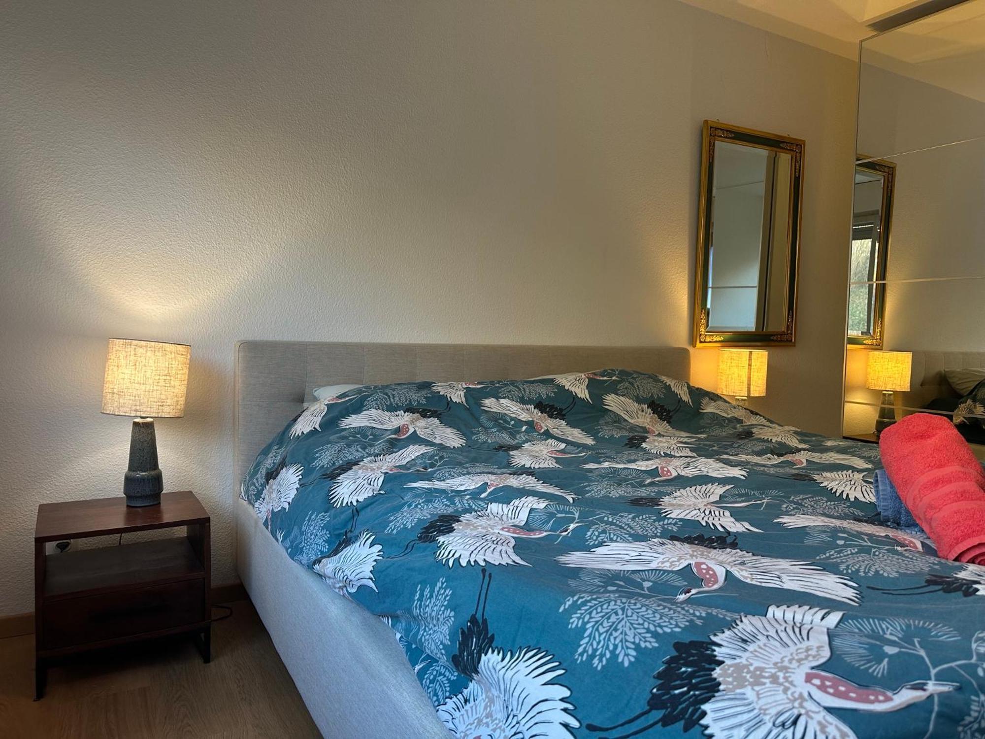 Lovely Room, 15 Min From Center, Mountain View Zürich Exterior foto