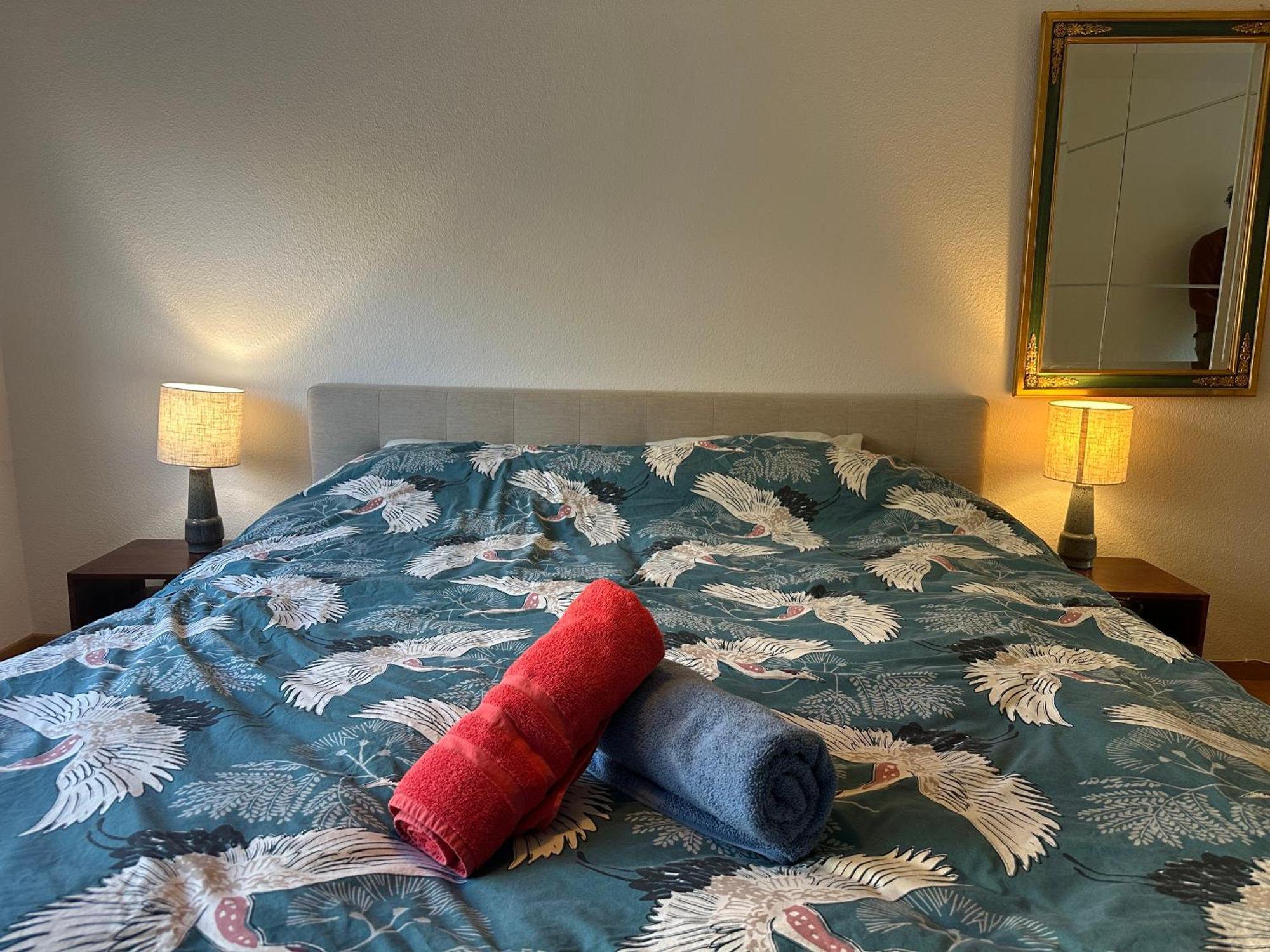 Lovely Room, 15 Min From Center, Mountain View Zürich Exterior foto